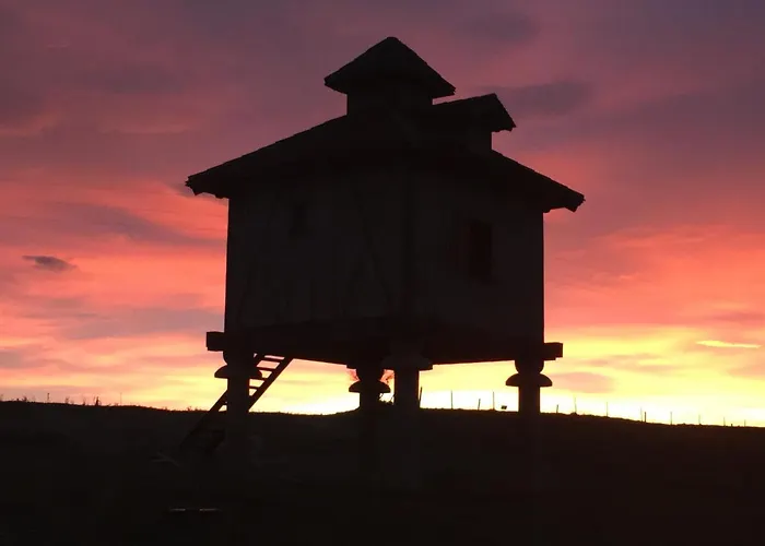 Le Pigeonnier D'olivier Revel (Haute-Garonne)